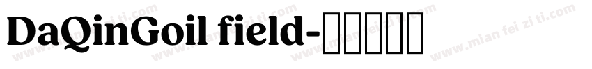 DaQinGoil field字体转换